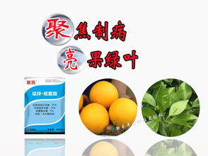 聚焦制病，亮果綠葉 標準化商品信息咨詢服務解析